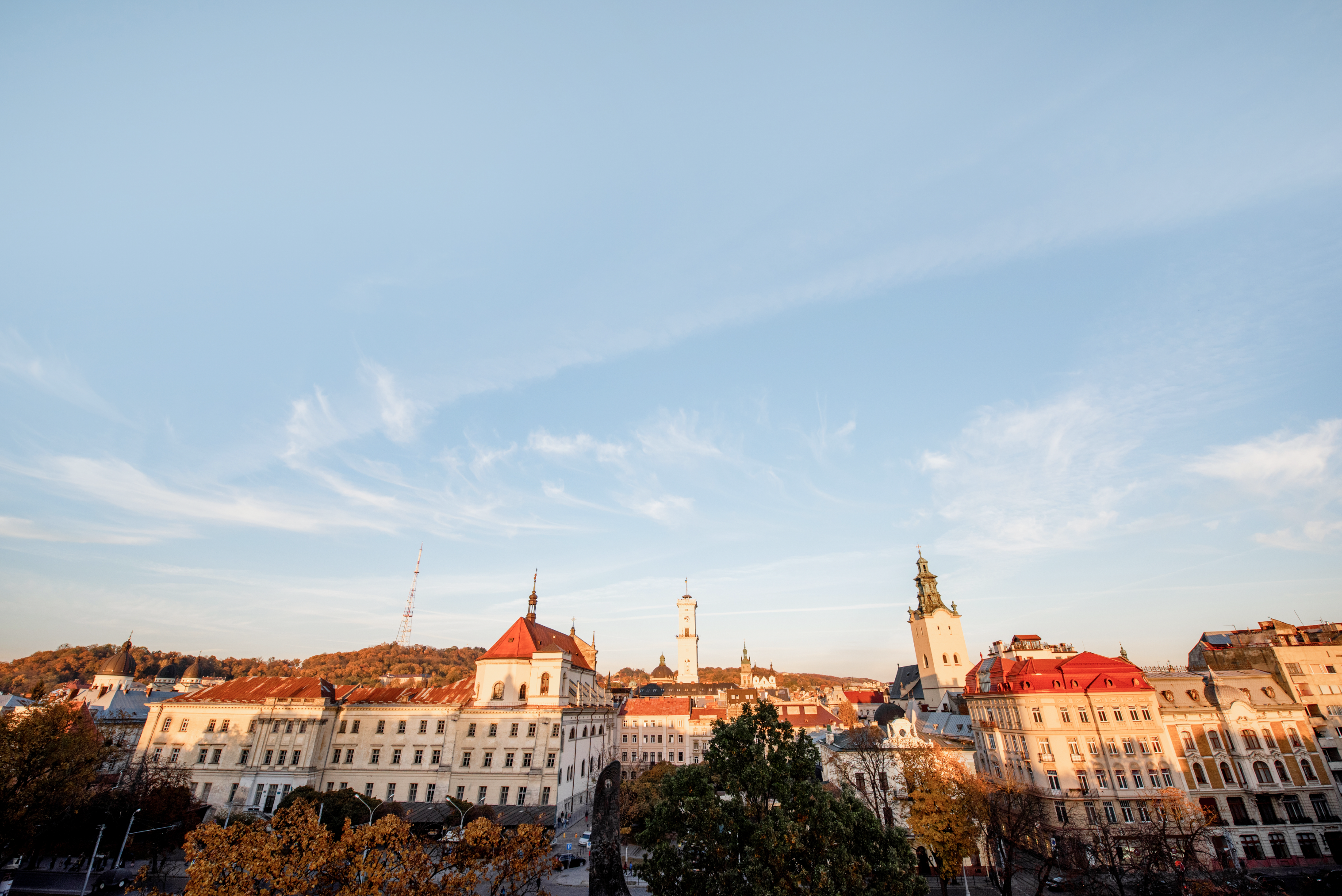 Lviv Panorama
